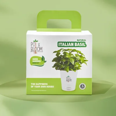 Italian Basil Grow Kit